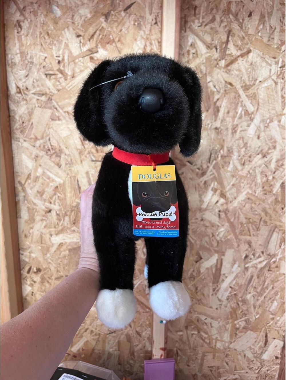 NWT Douglas Twister Pitbull